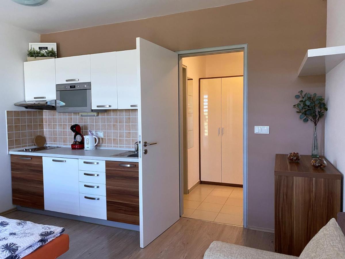 Miky Apartman Klinovec Meadow โลชนา โปด กลิโนฟเซม ภายนอก รูปภาพ