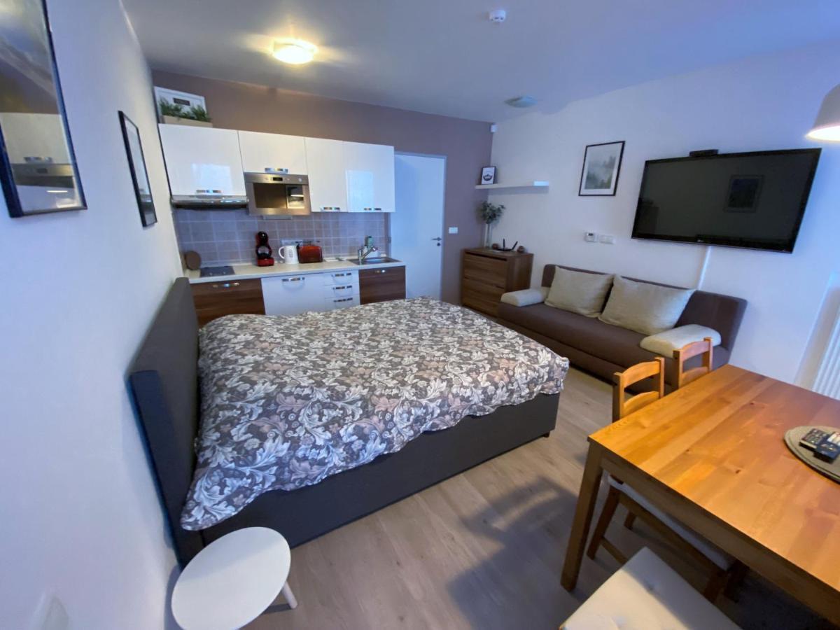Miky Apartman Klinovec Meadow โลชนา โปด กลิโนฟเซม ภายนอก รูปภาพ
